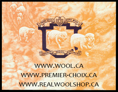 invite-logo-with-webs invite-logo-with-webs