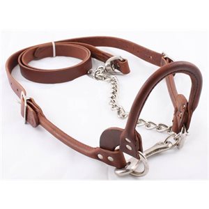 Licou de cuir Brun Small