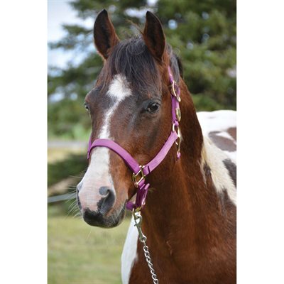 LICOU - WR SIGNATURE COLLECTION