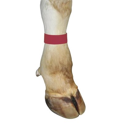VELCRO BAND RED PQT 10