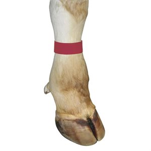 VELCRO BAND RED PQT 10