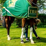 TRM STAYSOUND LEG CLAY 5KG