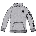 Sweatshirt carhartt graphic