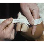 CalfScale - Calf hoof scale