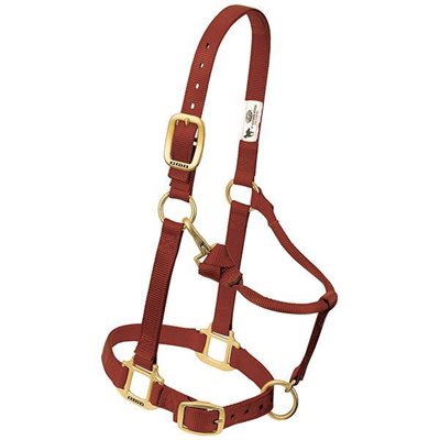 HALTER- SUCKLING