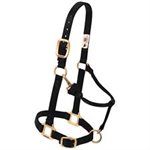 HALTER- SUCKLING