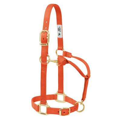 HALTER - SUCKLING