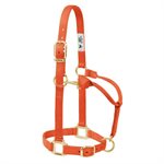 HALTER - SUCKLING