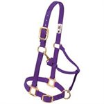 HALTER - PONY