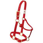HALTER - PONY