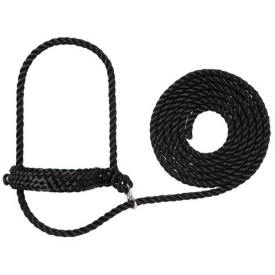 Flat briad cattle halter noir