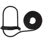 Flat briad cattle halter noir
