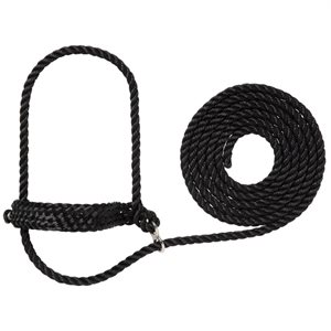 Flat briad cattle halter noir