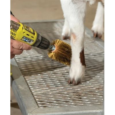 REG ROTO BRUSH