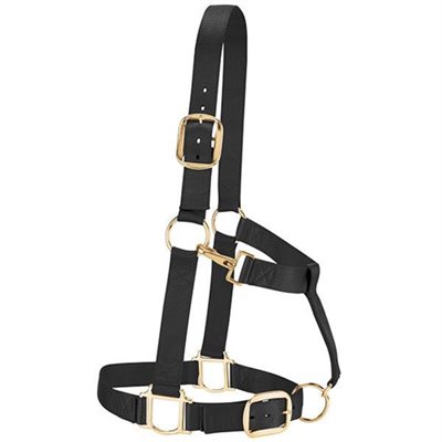 HALTER DRAFT 1po