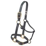 HALTER - YEARLING
