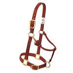 HALTER - YEARLING