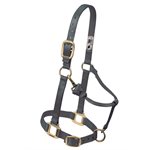 HALTER - YEARLING