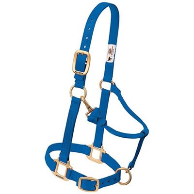 HALTER LARGE
