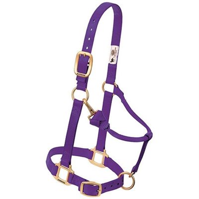 HALTER LARGE