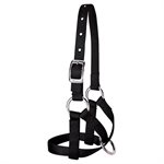 LARGE ALPACA HALTER BLUE