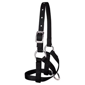 LARGE ALPACA HALTER BLUE