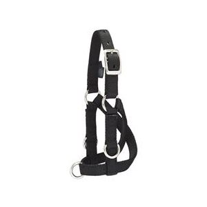 MEDIUM SHEEP & GOAT TRAINING HALTER BLACK