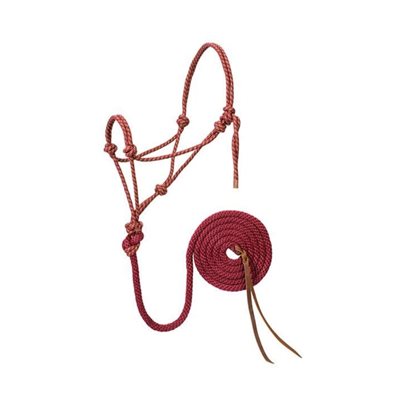 ROPE HALTER BRAID RASP / YEL / BLACK