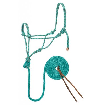 ROPE HALTER BRAID RASP / YEL / BLACK