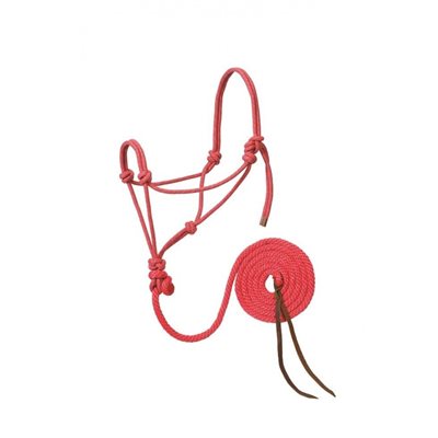 ROPE HALTER BRAID RASP / YEL / BLACK