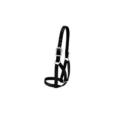 COW BARN HALTER LARGE