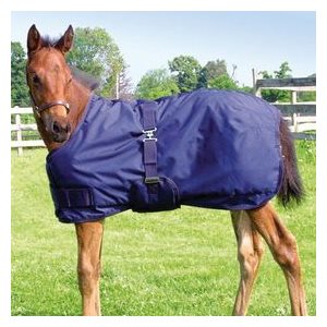 MINI FOAL WINTER BLANKET