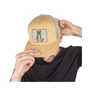 cap tan horse