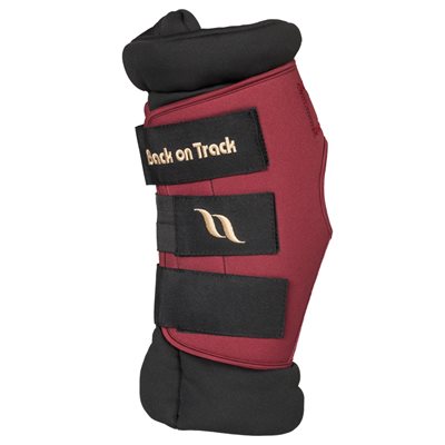 BACK ON TRACK HOCK BLACK BOOT WITH HOLE