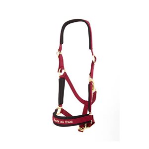 WERANO HALTER - COB