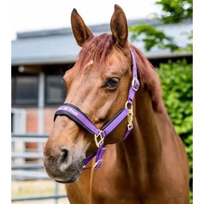 WERANO HALTER PONY