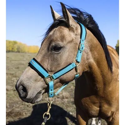 Werano Halter Shetland