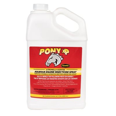 PONY XP 4 LITRE