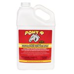 PONY XP 4 LITRE